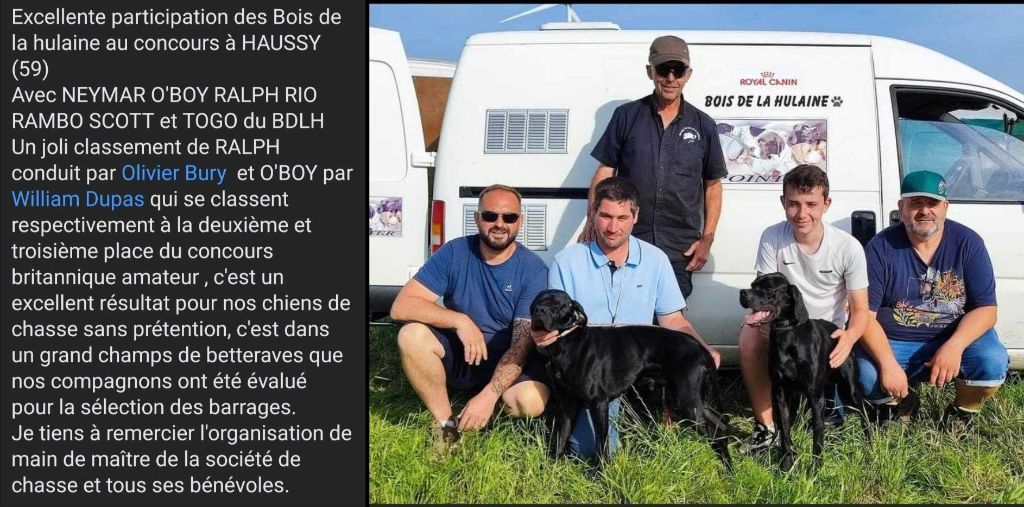 du bois de la Hulaine - Concours amateur chien d'arrêt à HAUSSY (59)