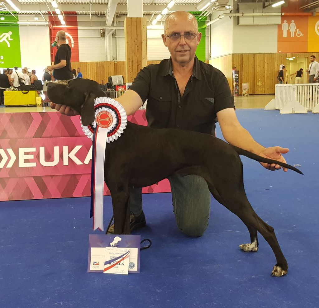 du bois de la Hulaine - Championnat de FRANCE à PARIS LE BOURGET 