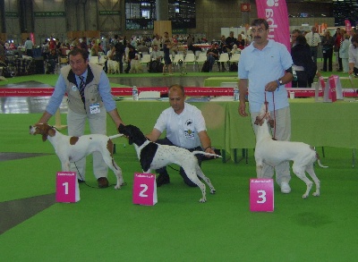 du bois de la Hulaine - MONDIALE 2011