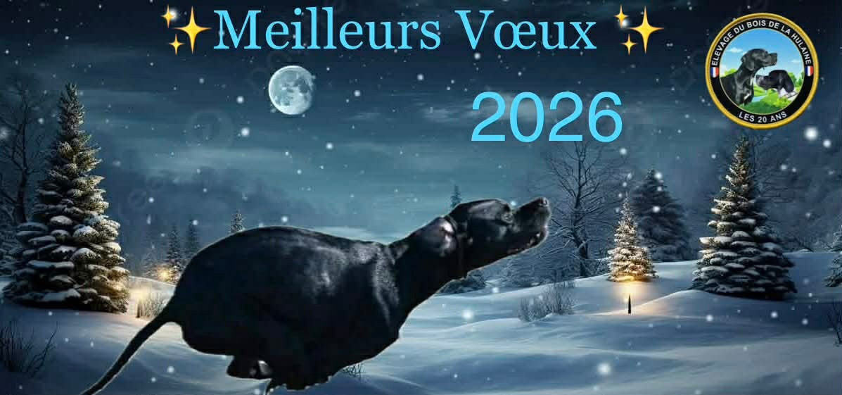 Voeux 2026