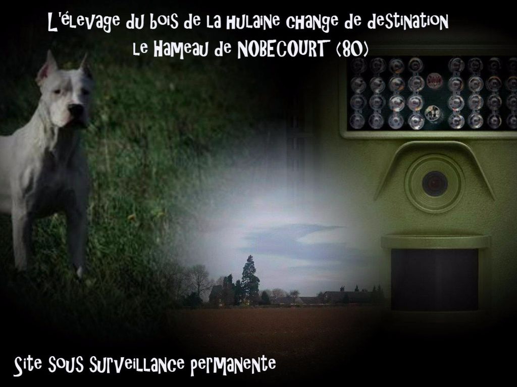 du bois de la Hulaine - Site sous surveillance permanante