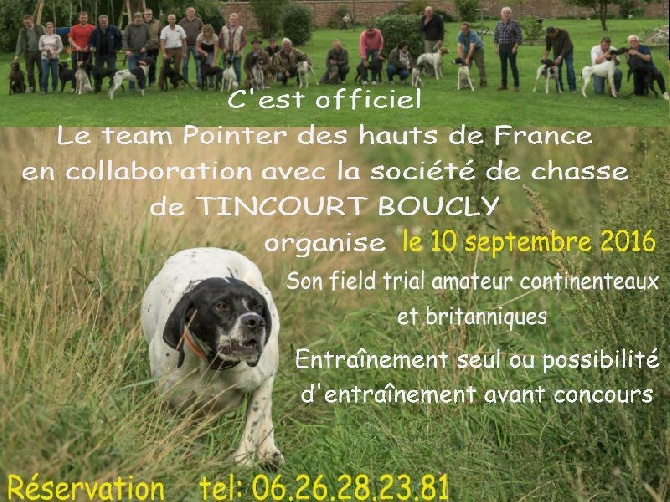 du bois de la Hulaine - Field trial amateur à TINCOURT BOUCLY