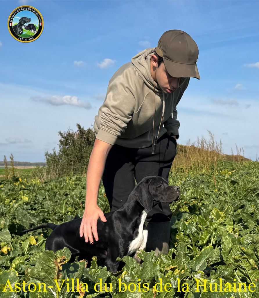 Aston-Villa et William à  l'entraînement sur perdreaux 