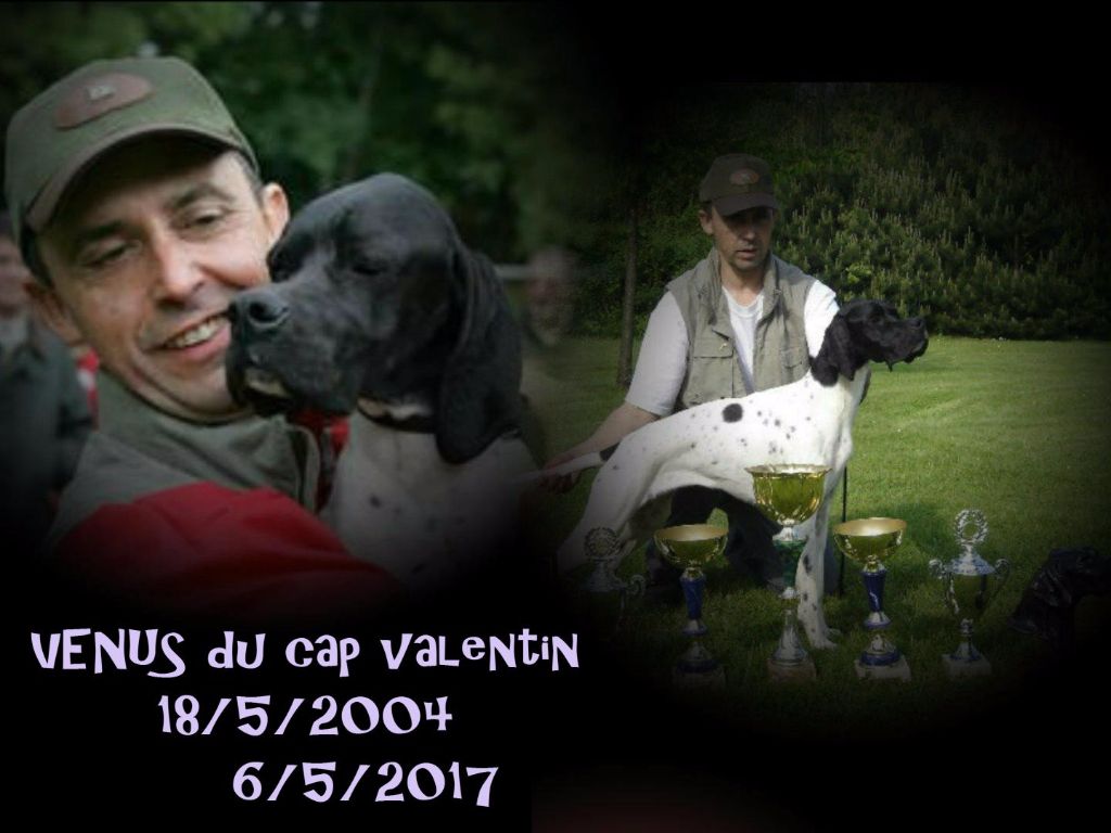 du bois de la Hulaine - VENUS du cap valentin