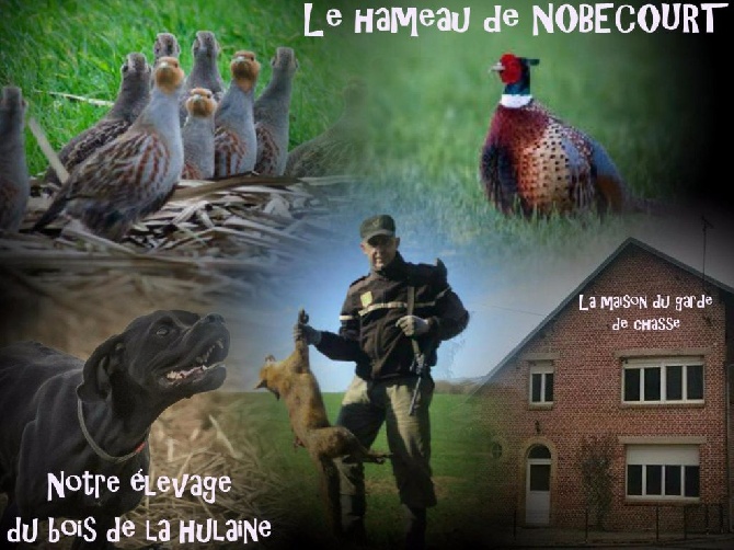 du bois de la Hulaine - Changement de destination