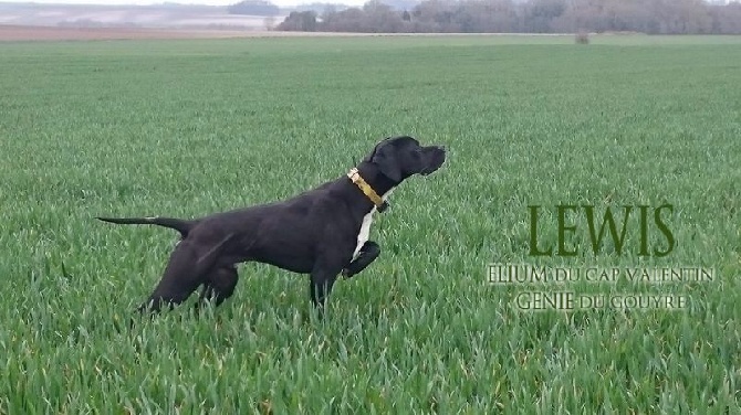 du bois de la Hulaine - Juste un grand merci à CHARLY MAUVINET